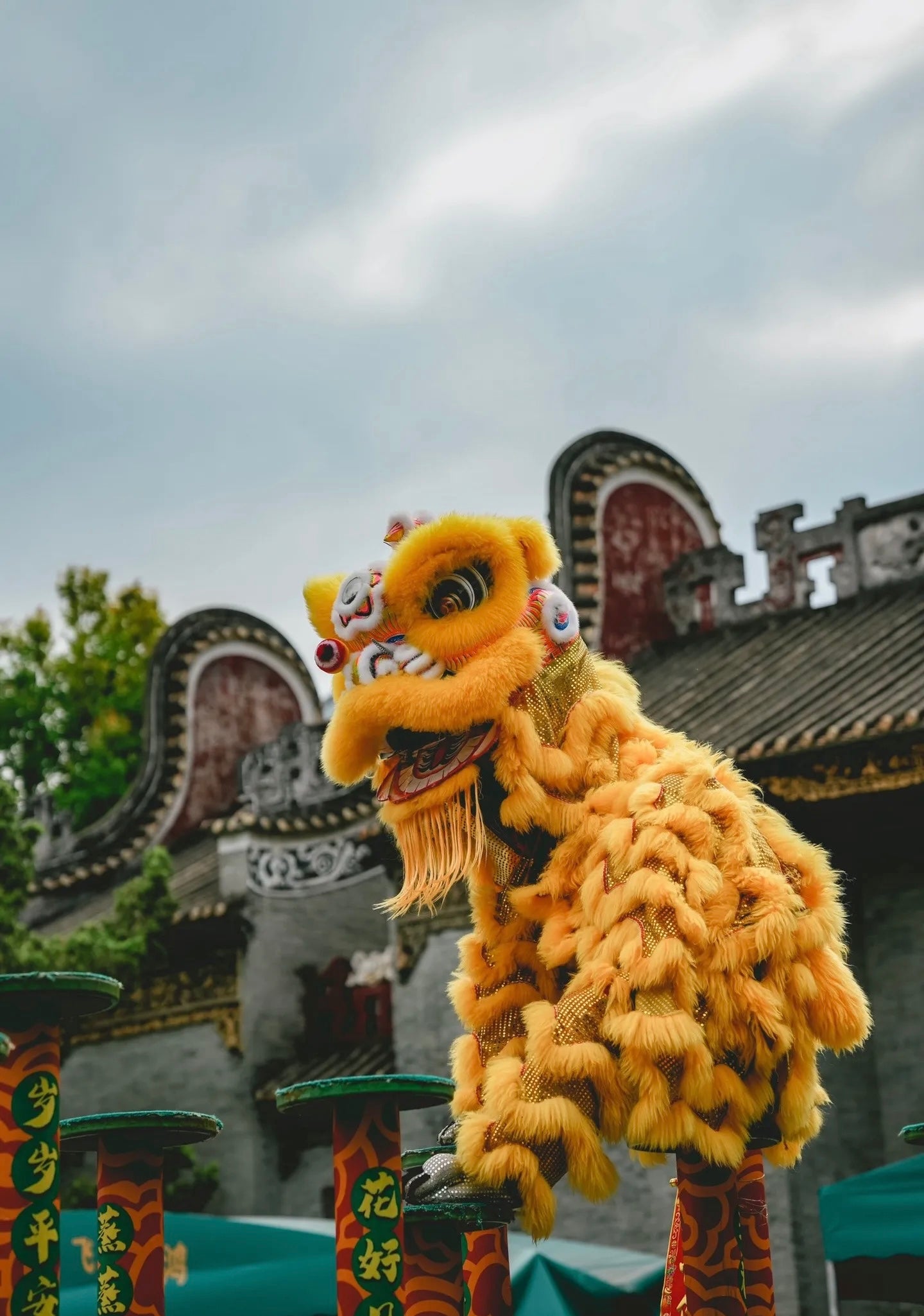Explore the Kung Fu Capital：Foshan