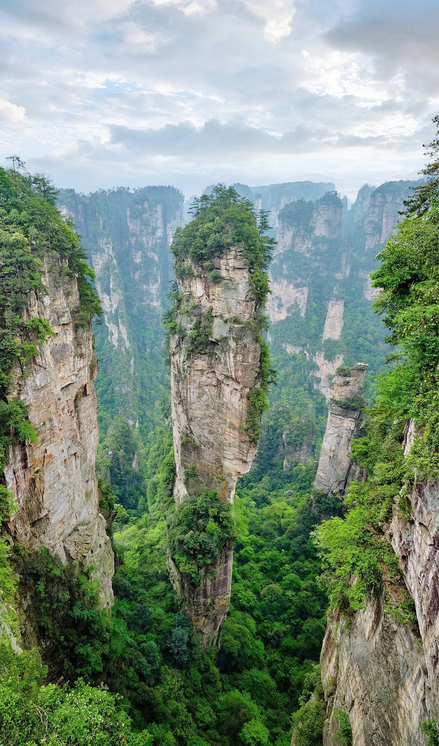 Zhangjiajie National Forest Park One-Day Tour