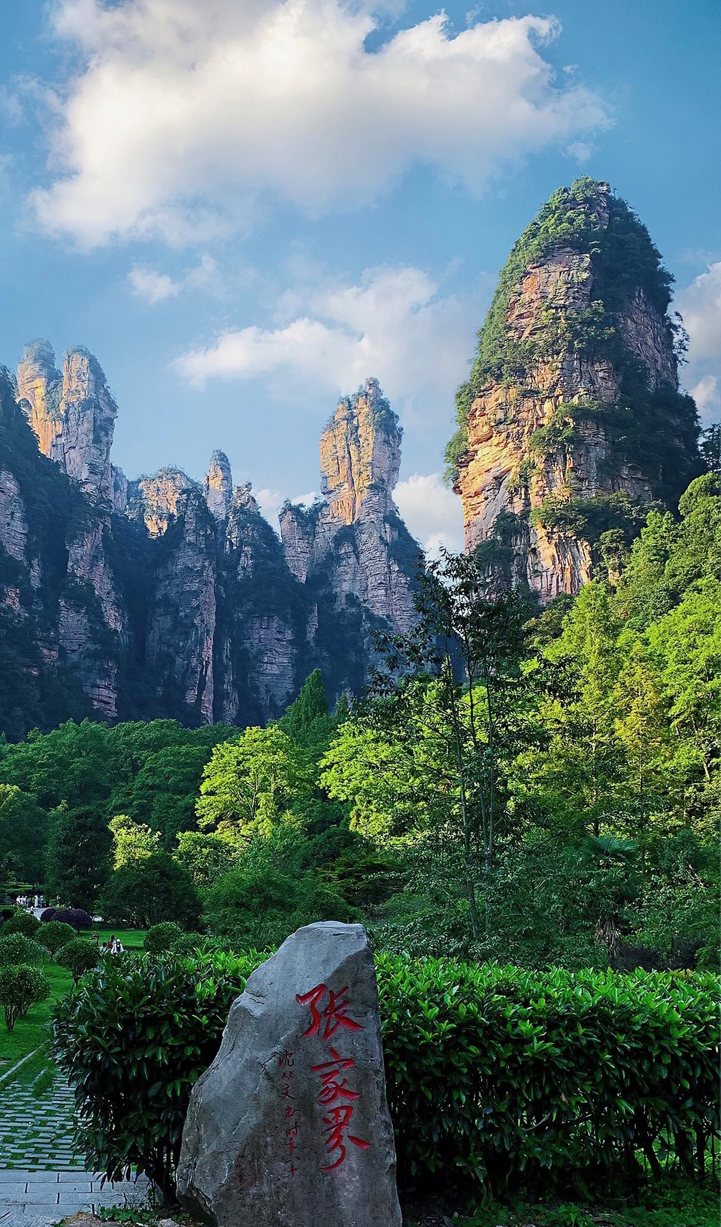 Zhangjiajie National Forest Park One-Day Tour