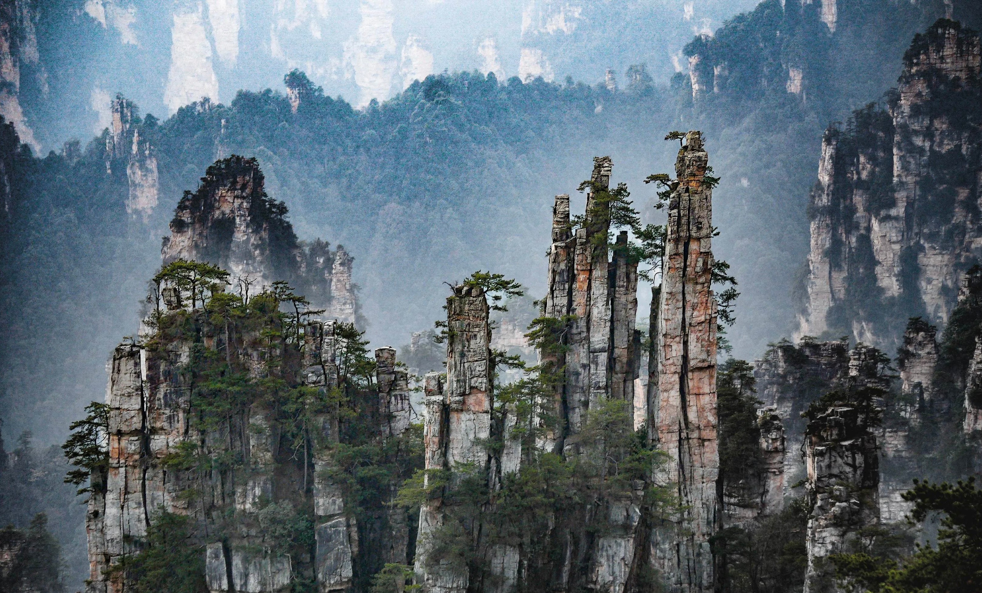 Zhangjiajie National Forest Park One-Day Tour